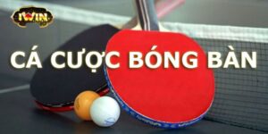 Cá Cược Bóng Bàn Là Gì?