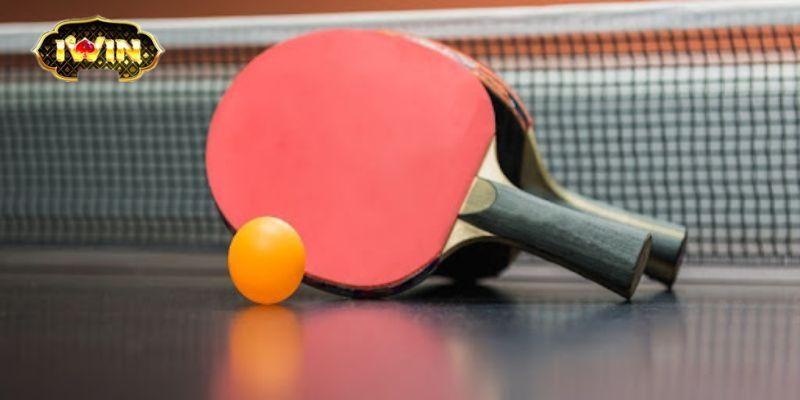 Các Loại Cá Cược Bóng Bàn Phổ Biến