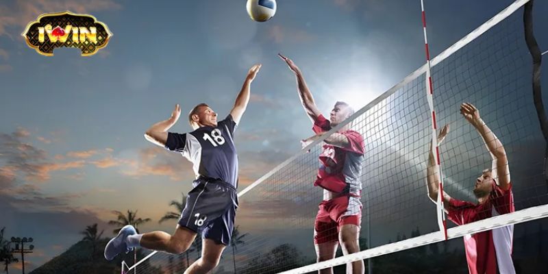 Các Loại Hình Cá Cược Bóng Chuyền Phổ Biến