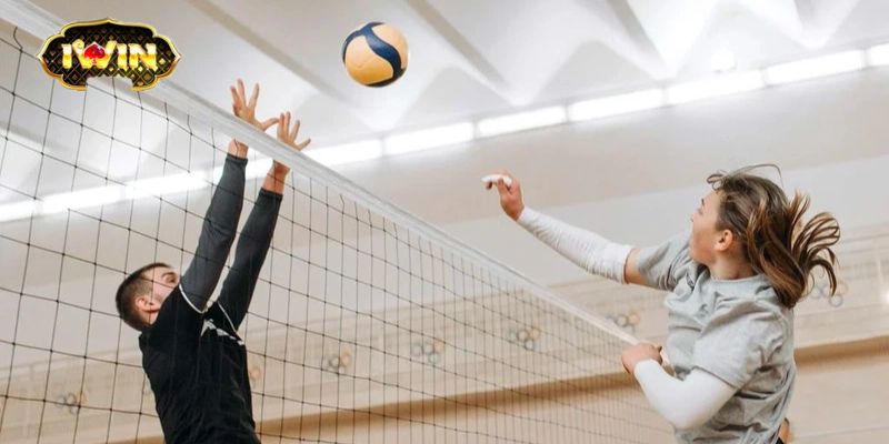 Lợi Ích Của Việc Tham Gia Cá Cược Bóng Chuyền