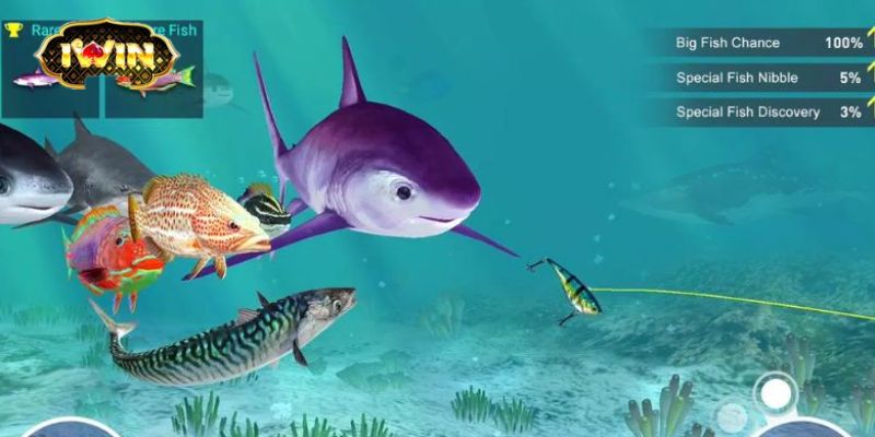 Một Số Mẹo Để Chơi Game Vua Câu Cá Hiệu Quả