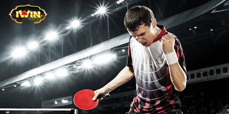 Những Yếu Tố Cần Lưu Ý Khi Cá Cược Bóng Bàn